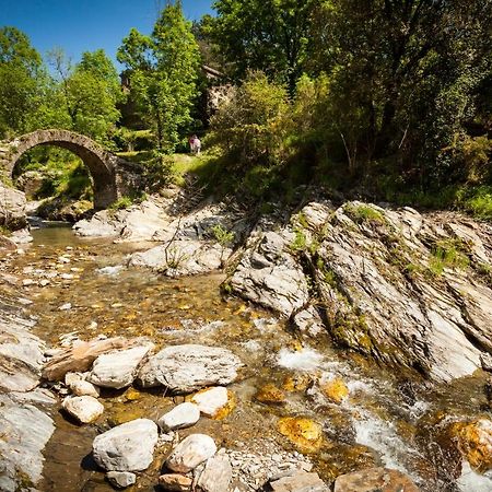Transgardon B&B En Cevennes Saint-Privat-de-Vallongue Zewnętrze zdjęcie