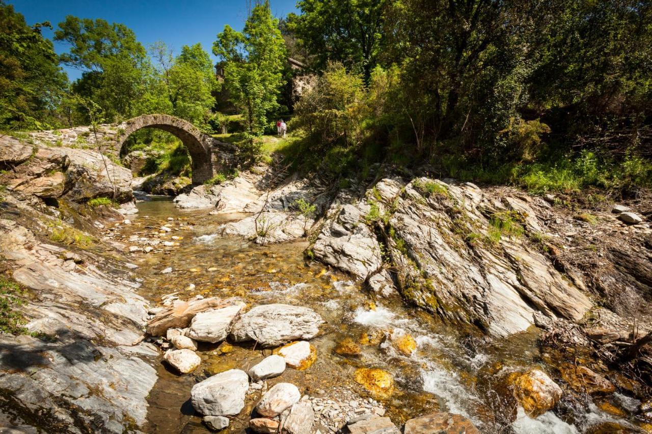 Transgardon B&B En Cevennes Saint-Privat-de-Vallongue Zewnętrze zdjęcie