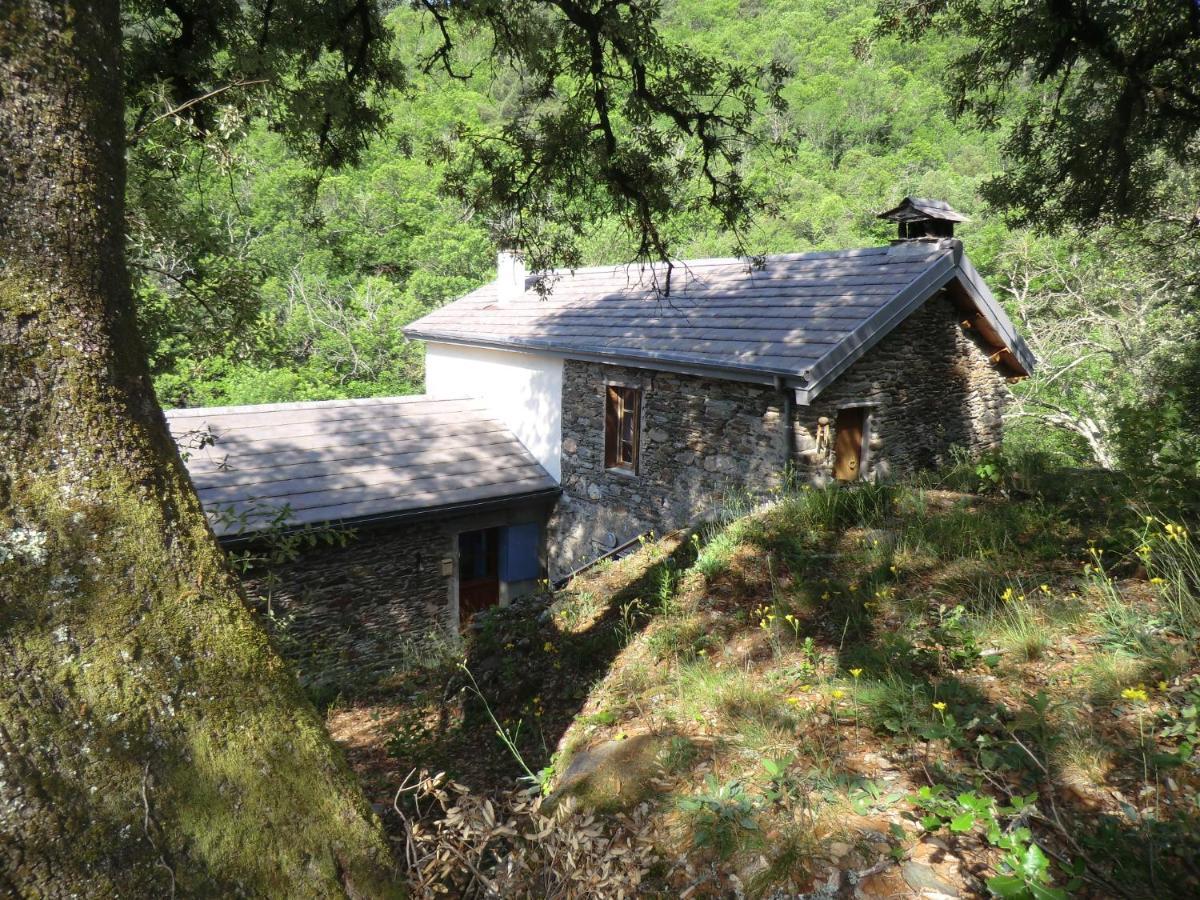 Transgardon B&B En Cevennes Saint-Privat-de-Vallongue Zewnętrze zdjęcie