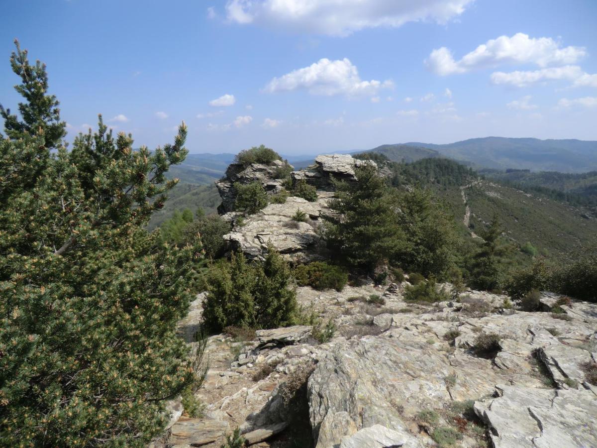 Transgardon B&B En Cevennes Saint-Privat-de-Vallongue Zewnętrze zdjęcie
