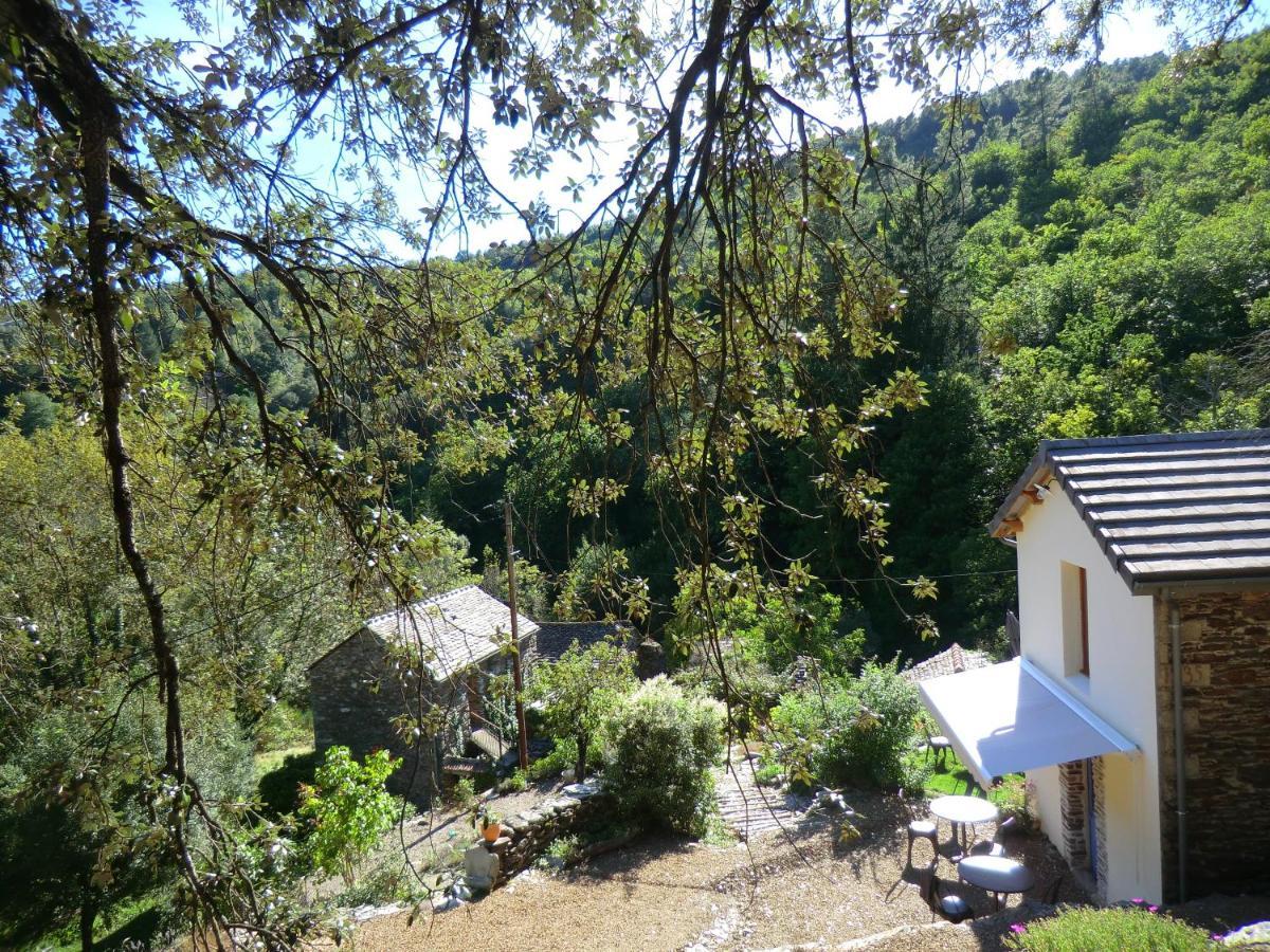 Transgardon B&B En Cevennes Saint-Privat-de-Vallongue Zewnętrze zdjęcie