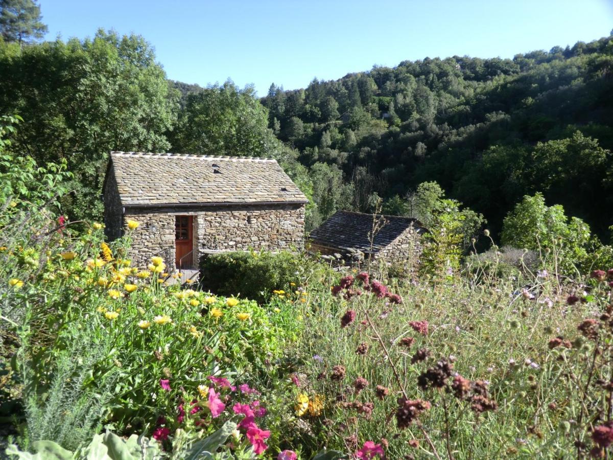 Transgardon B&B En Cevennes Saint-Privat-de-Vallongue Zewnętrze zdjęcie